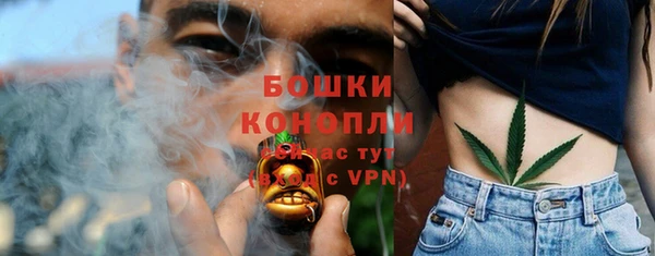 гидра Нея