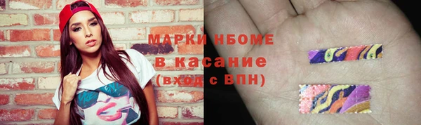 твердый Новозыбков