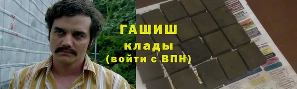 твердый Новозыбков