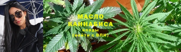 твердый Новозыбков