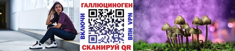 Псилоцибиновые грибы мицелий  Купить закладки  Сретенск 